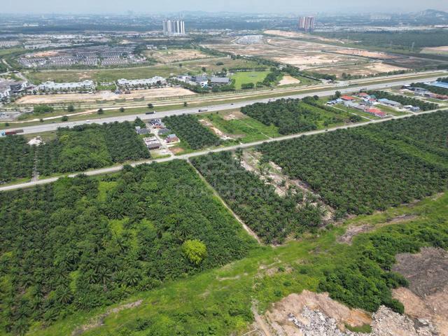 1.86acre Agriculture Land Tanjung Dua Belas Kuala Langat 1
