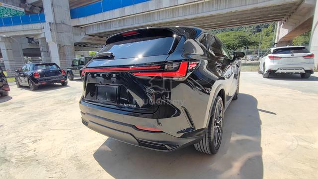 2022 Lexus NX 250 2.5 LUXURY PANORAMIC ROOF - 3
