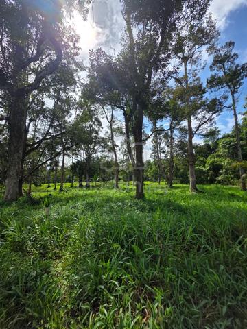 Sungai Moyan Land For Sale 1