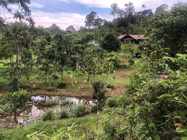 Tanah Ada Anak Sungai Cantik Dan Berjaga  Di Hulu Langat Untuk Dijual 1