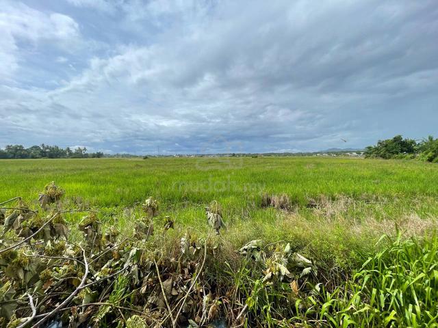 Tanah Zoning Perumahan Sungai Petani Geran Individu For Sale 3