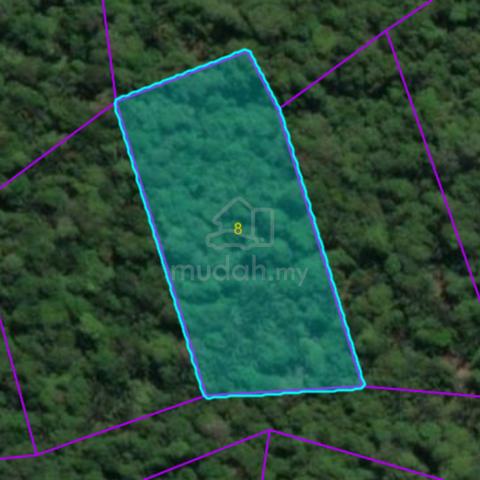 Land For Sale – Oya-Dalat / Mukah Area 1