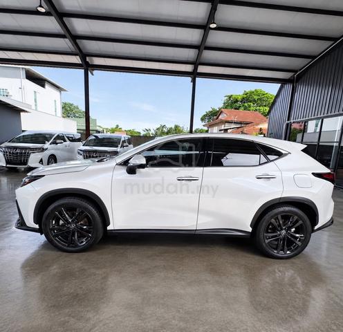 2023 Lexus NX 250 2.5 LUXURY (A) - 5