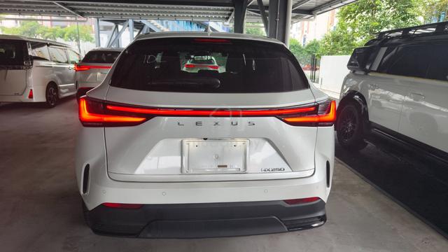 2022 Lexus NX250 2.5 LUXURY - 4