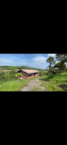 Selangor Kerling orchard farm for sale 2 NON BUMI 1