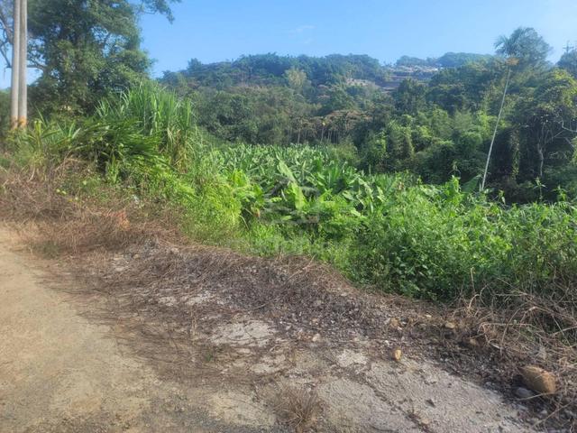 Lenggong, Perak agricultural land, State Land 1
