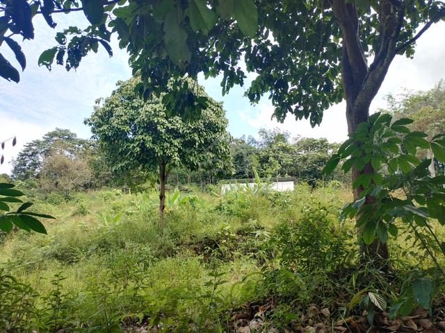 Tanah Kebun dan Sungai, Air Terjun Gabai 1