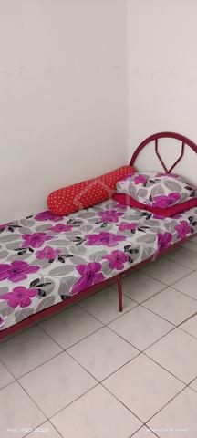 Single room fully furnished 1