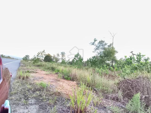 Tepi jalan pan borneo, tanah rata, 1