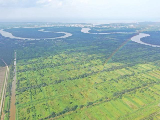 Rompin Pahang 545.87 Acres Agricultural Land For Sale | 1