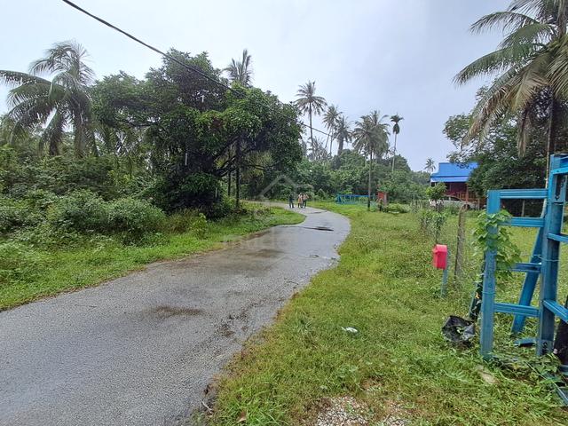 Tanah Tanjung Medang, Pekan, Pahang 5