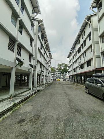 Stulang Laut 1