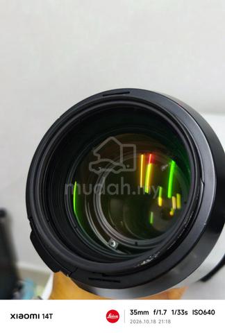 Sony 70-200mm f/2.8 G Telephoto Zoom Lens - photo 4 of 4
