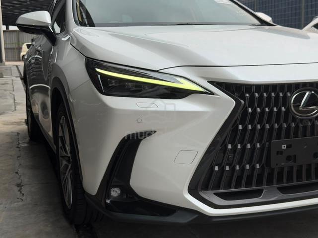 2023 Lexus NX250 2.5 Version L Brown Seat Unreg - 5