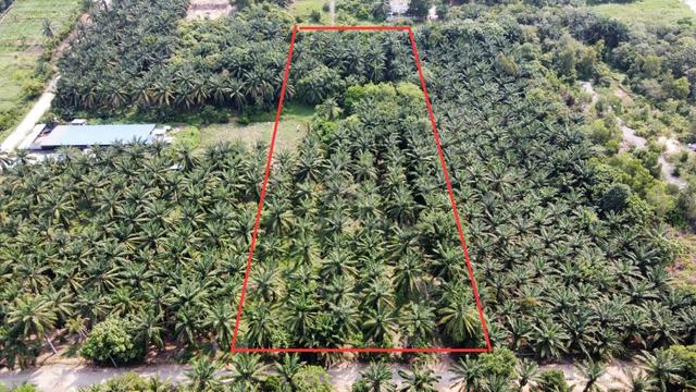 Tanah Pertanian Bukit Damar 1