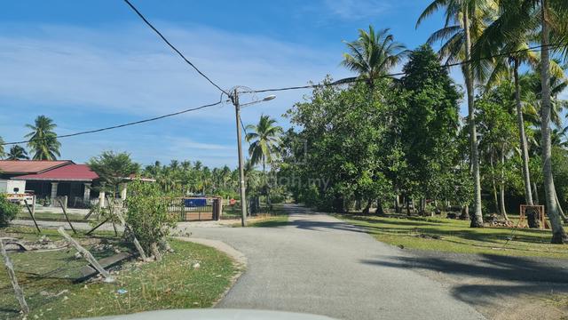 Tanah Pertanian Cherok Paloh Kuantan 1