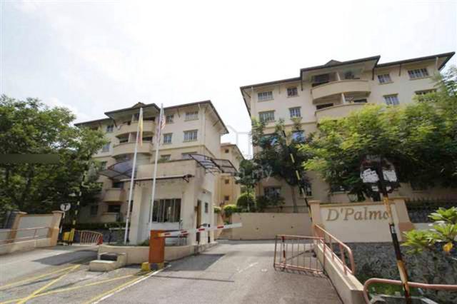 D Palma 1