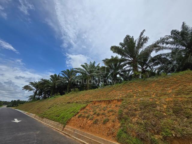 5.1 acres Oil Palm Development Zon Residential Kota Tinggi 1