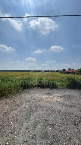 Tanah Pertanian Sawah Padi Untuk Di Jual Kg Sawah Sagil Ayer Hitam 1