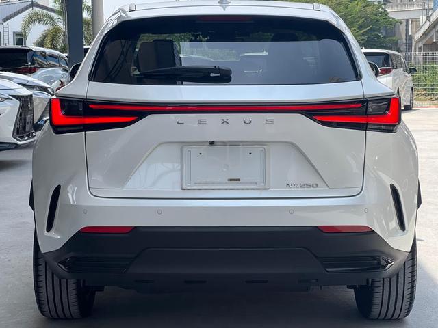 2023 Lexus NX 250 2.5 BASE SPEC - 3