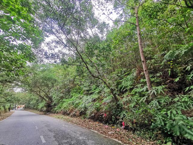 Bungalow Lot at Kg Kenaga Tambahan, Batu 18 1