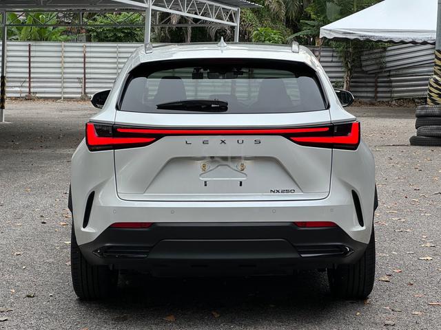 UNREG 2023 Lexus NX250 2.5 LUXURY-LOW MILEAGE-5A - 5