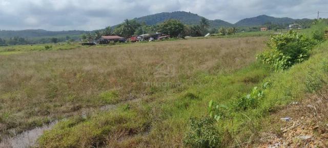FREEHOLD Geran Individu di Batu Tambun Pendang! Tanah Bendang 1