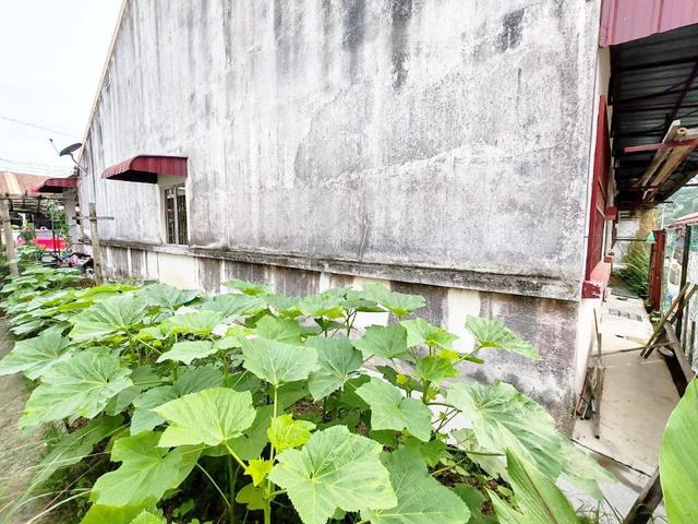 TAMAN KUALA SELANGOR UTAMA, Kuala Selangor [End Lot] 3