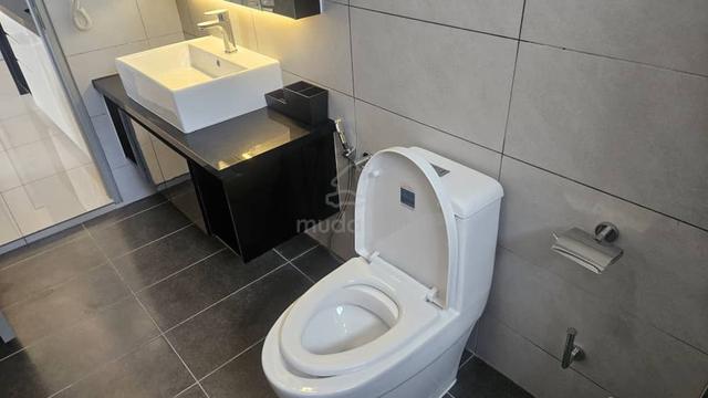 Ion Delemen 2