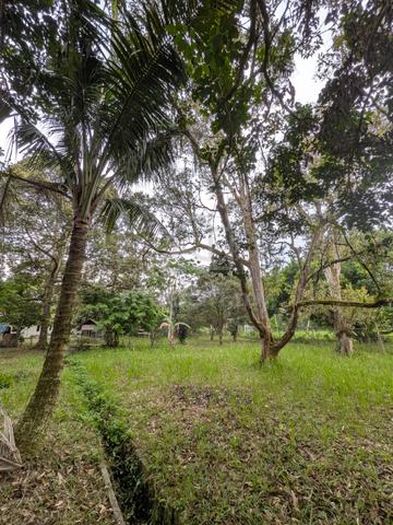Tanah Dusun Nilai Negeri Sembilan 3