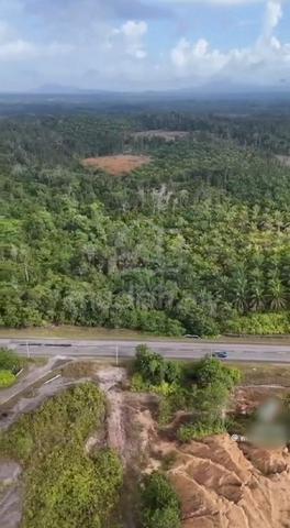14 Ekar Tanah Kediaman Utk Di Jual di Kg Delong, Dungun Terengganu  1