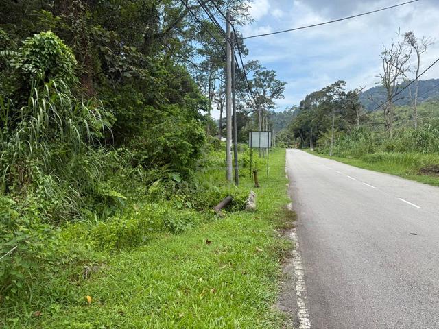 TANAH HADAPAN MAIN ROAD UNTUK DIJUAL SG LUi 1