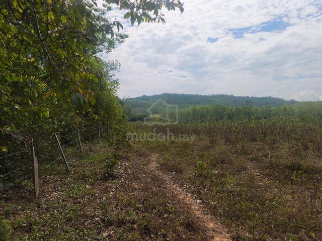 Tanah Pertanian Untuk Dijual 1