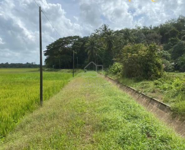 Bendang tepi minitar kubur pnjg 1