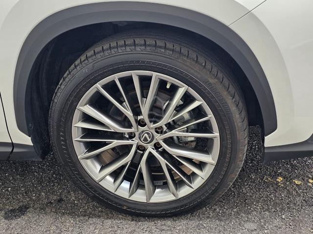 2023 Lexus NX 250 2.5 LUXURY (A) - 5