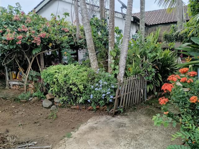 Taman Impianku Semi-D Corner (Kampung Padang Permai ) 3