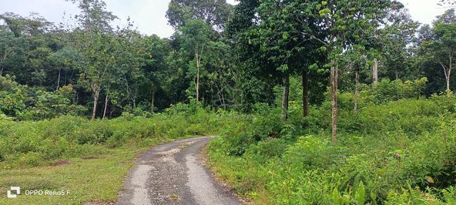 Tanah murah tepi jalan tar untuk di jual ‼️ 1