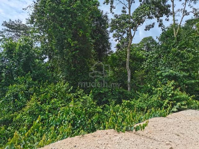 Ayer Paabas (utk dijual) 2