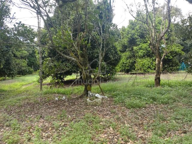 Negeri Sembilan Mantin Agricultural Land For Rent 1