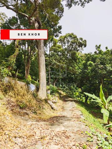 6.8 Acres | Can sell Separately| Durian Farm| Paya Terubung| PENANG 1