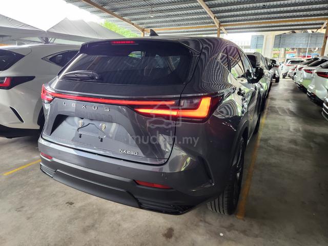 2023 Lexus NX 250 2.5 LUXURY LSBROWN 20 4LED 2MS - 3