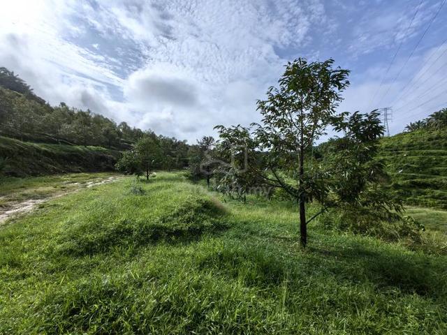 19 Acres Freehold Land Durian Benta Sega Raub 4