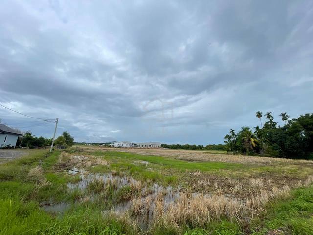 Tanah Zoning Perumahan Sungai Petani Geran Individu For Sale 2