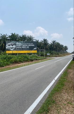 Kebun Kelapa Sawit 14 acre 1