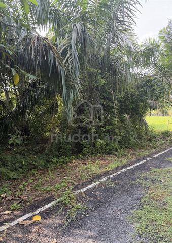 Lot FREEHOLD 4160kps utk diJual di Jln Sejahtera 3 Kg Jaya Setia 1