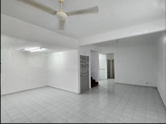 anggerik Doritis Kota Kemuning basic house Shah alam Doritis 1