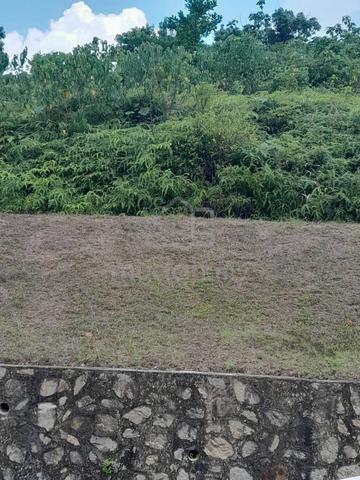 4 Lot Tanah Pertanian Non Bumi Tepi Jalan Besar di Jalan Tampin Linggi 1