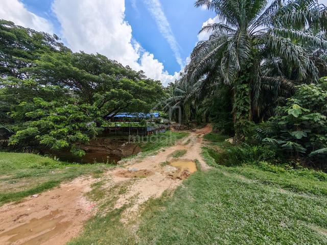 Rantau, Kuala Sawah, Negeri Sembilan, road site, Palm oil, 63 acres 1