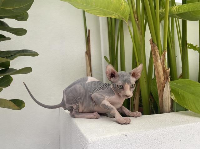 Carousel Image