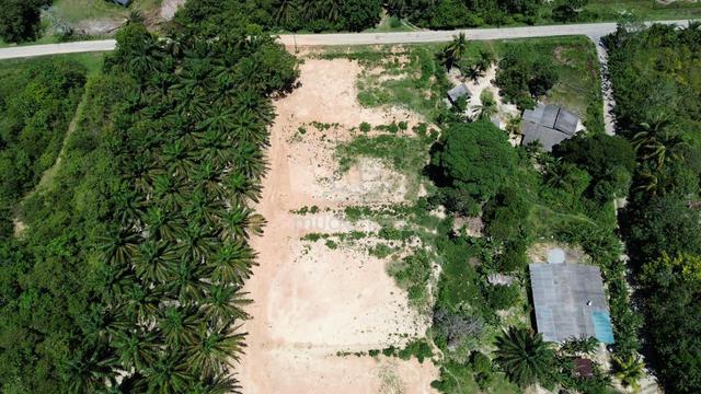 Lot Banglo Merchang Untuk Dijual Segera [Nego] 1